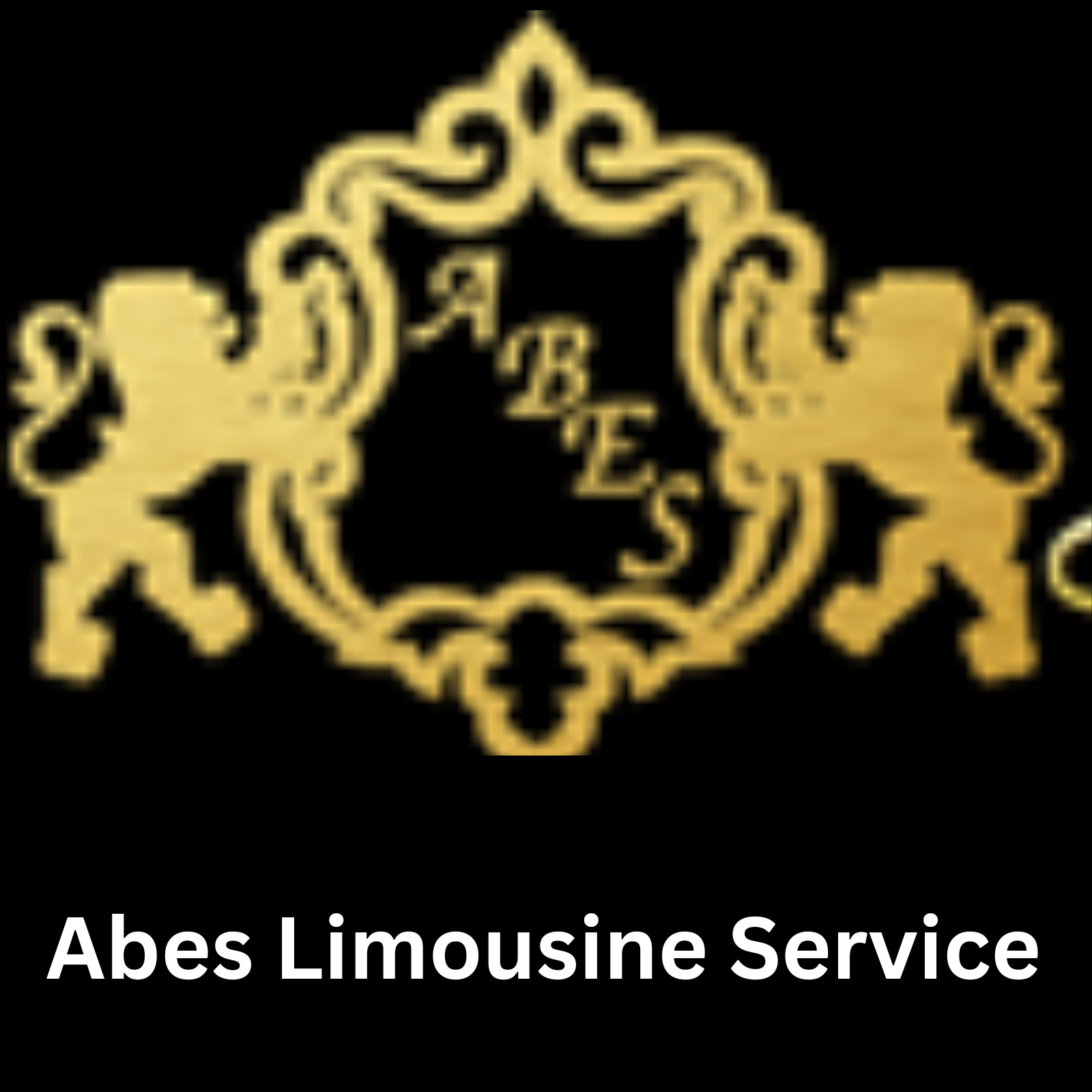 Abeslimousine Service