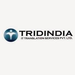 TridIndia  Company