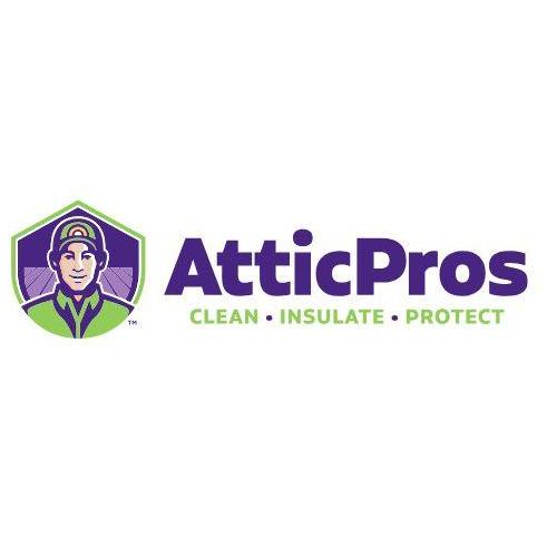 Attic Pros