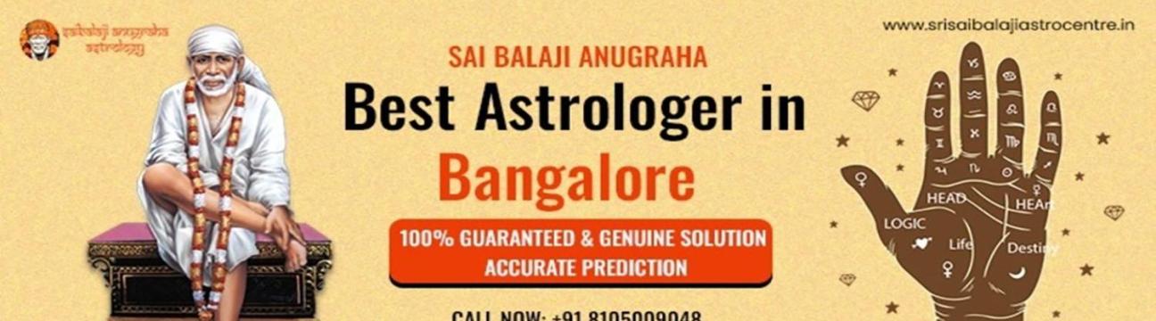 Srisaibalaji Astrocentre