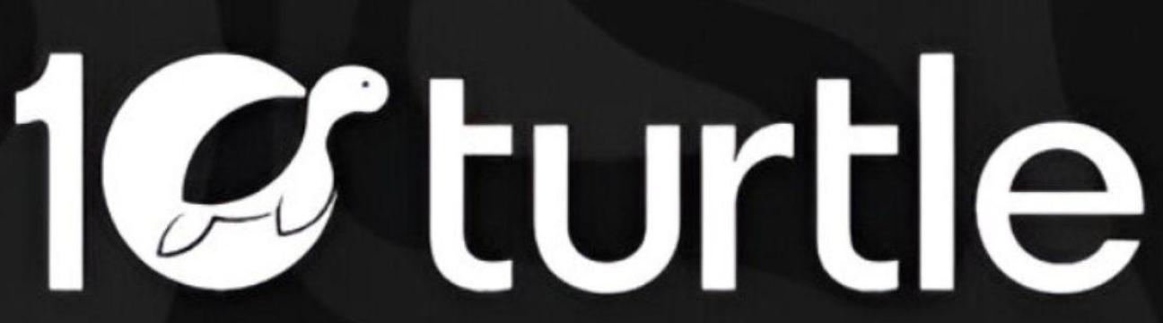 10turtle Global