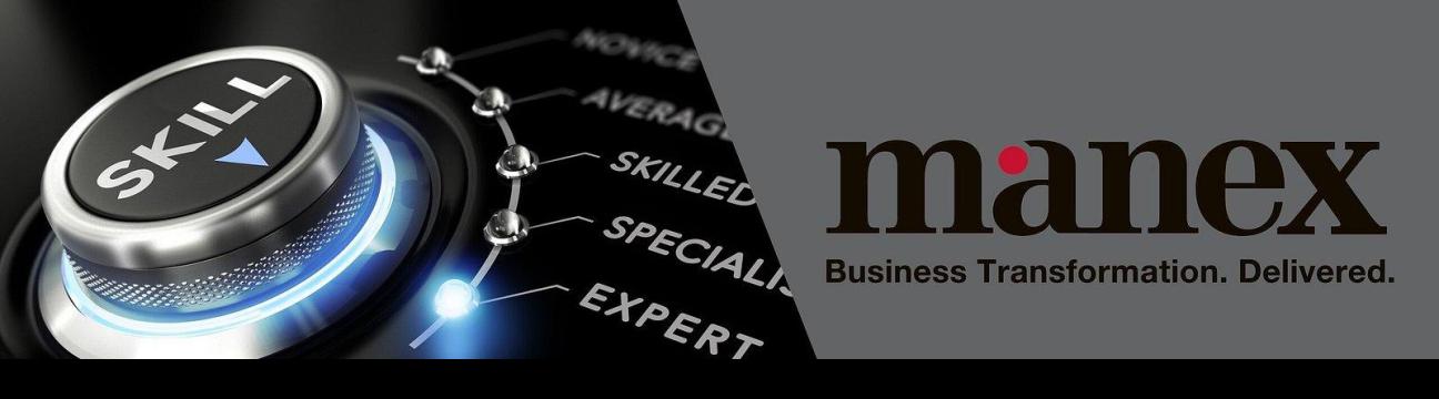 Manex Consulting