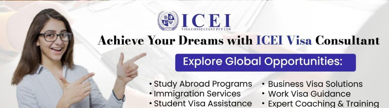Icei Visa Consultant